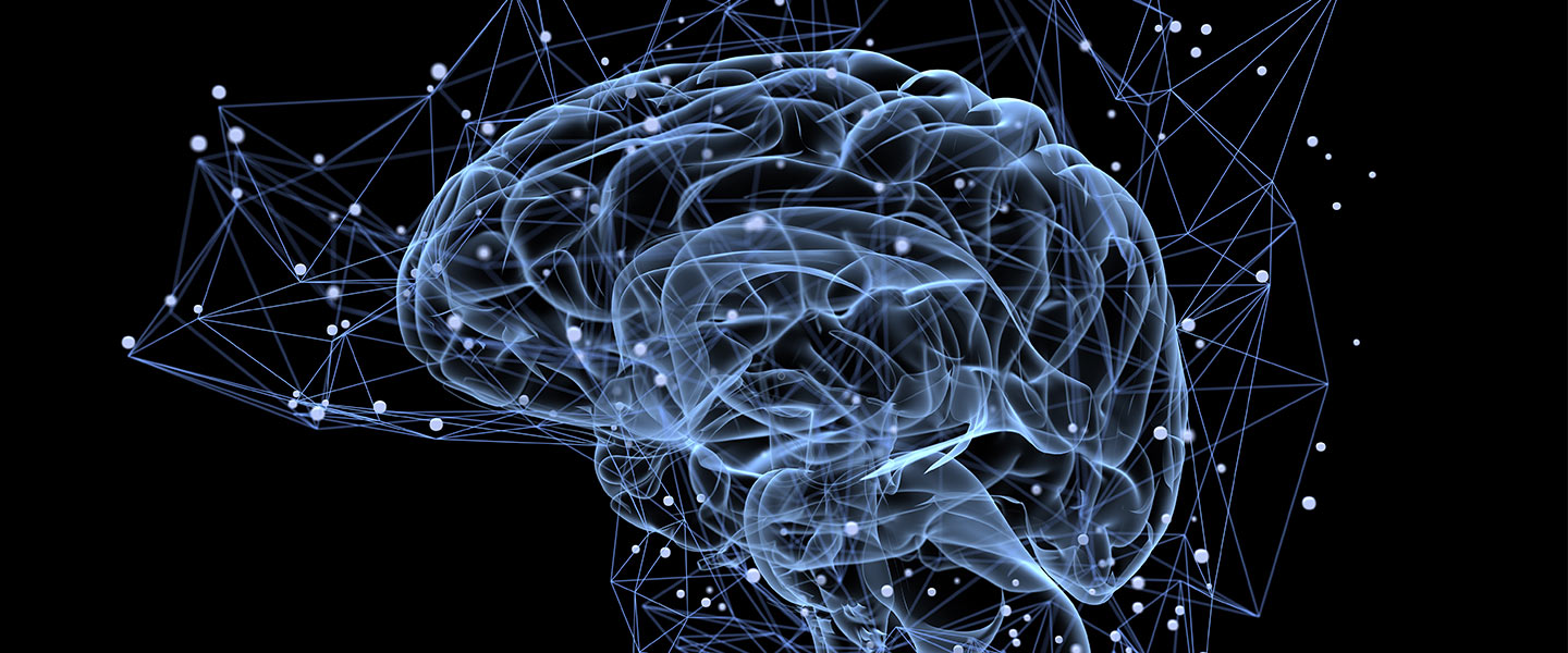 The Biology of Emotions
