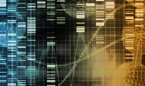 Researchers Track Gene Alterations in Brain Area Perturbed by Stress