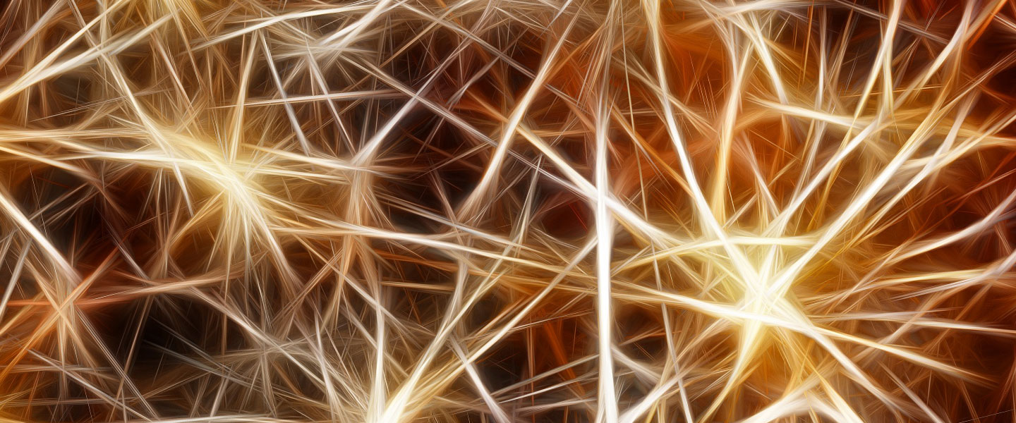 Study Offers Insight into How Fear Memories are Strengthened in the Brain
Study Offers Insight into How Fear Memories are Strengthened in the Brain